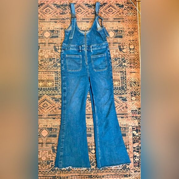 American Eagle overall jeans US 12 Short - Picture 2 of 4